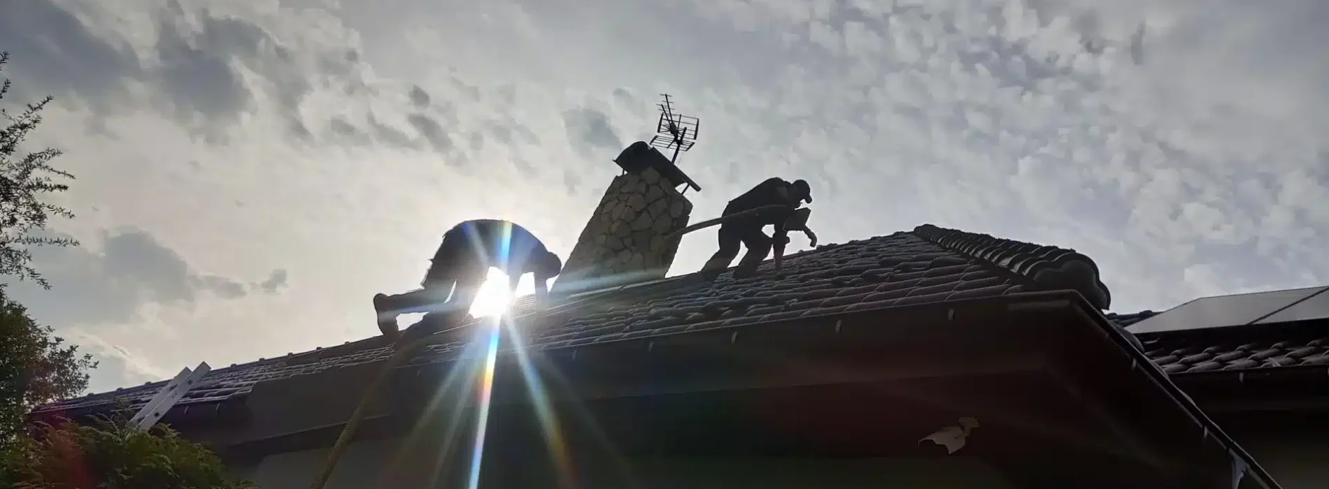 Ile kosztuje ignorowanie kuny w dachu? Analiza strat po latach