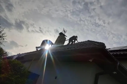 Ile kosztuje ignorowanie kuny w dachu? Analiza strat po latach