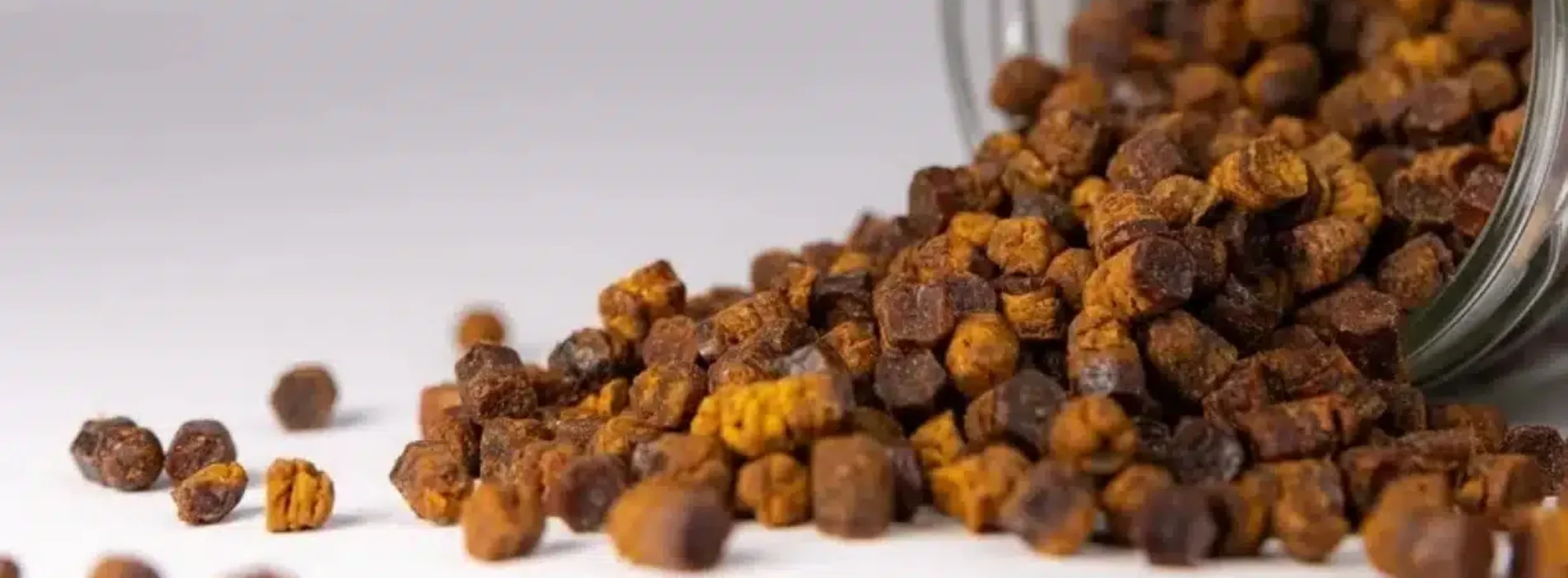 Pierzga pszczela – czym jest i jakie właściwości sprawiają, że nazywana jest naturalnym superfood?