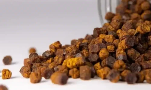 Pierzga pszczela – czym jest i jakie właściwości sprawiają, że nazywana jest naturalnym superfood?