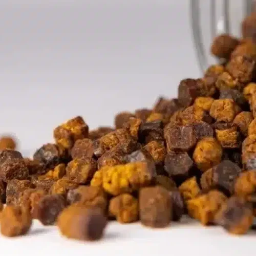 Pierzga pszczela – czym jest i jakie właściwości sprawiają, że nazywana jest naturalnym superfood?